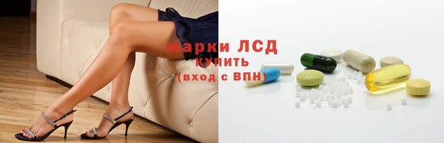 гашик Покачи
