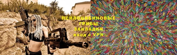 гашик Покачи