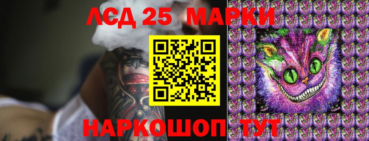 Галлюциногенные грибы Новосибирск