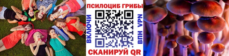 Галлюциногенные грибы мухоморы  МЕГА ONION  Новосибирск 