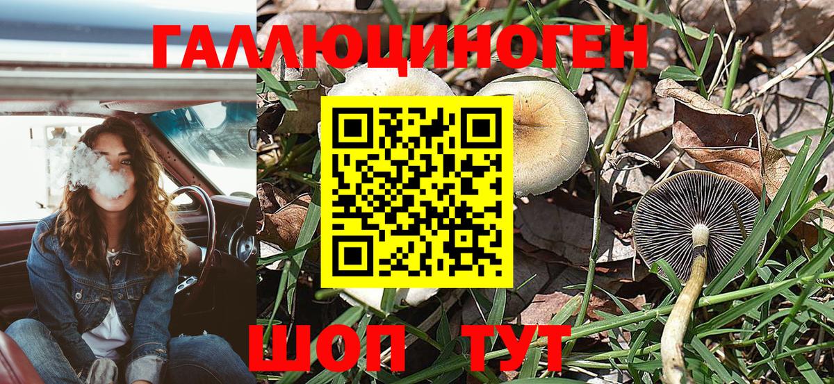 Галлюциногенные грибы мицелий  Вход с VPN  Новосибирск 