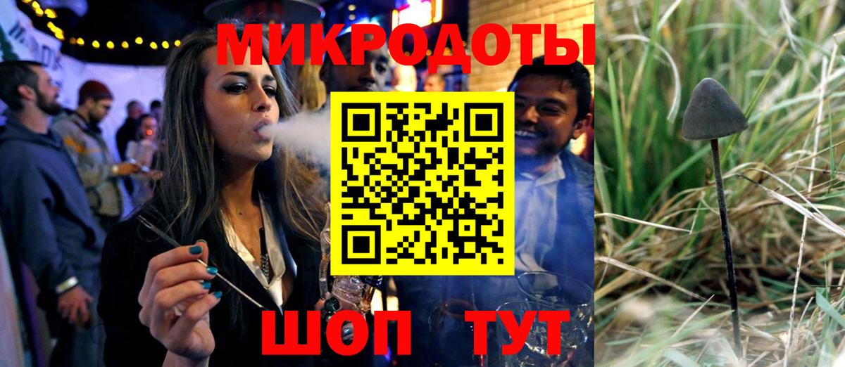 Альфа ПВП Новосибирск
