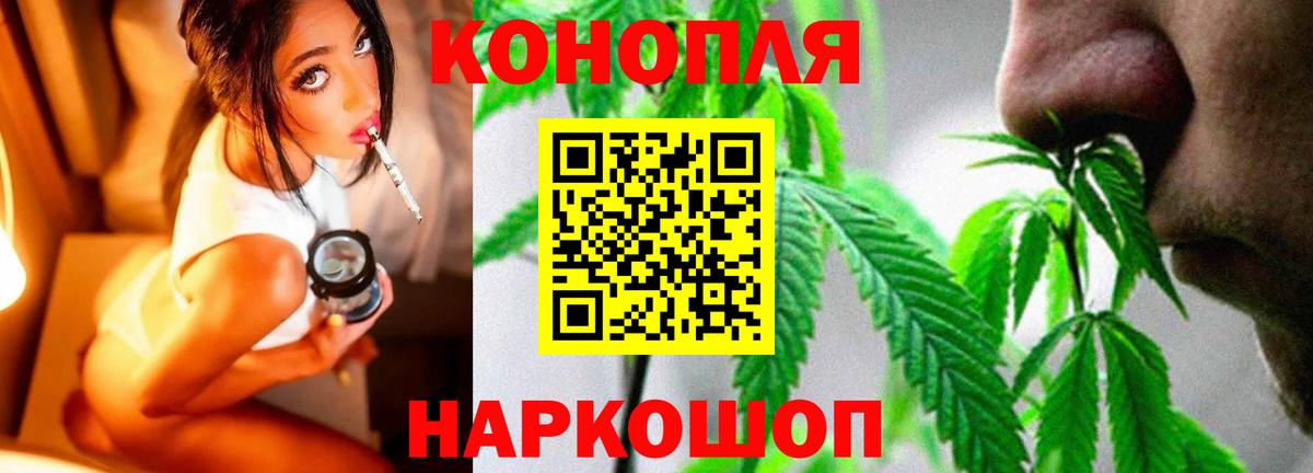 Бошки марихуана THC 21%  Канабис ГИДРОПОН  Конопля семена  Новосибирск 